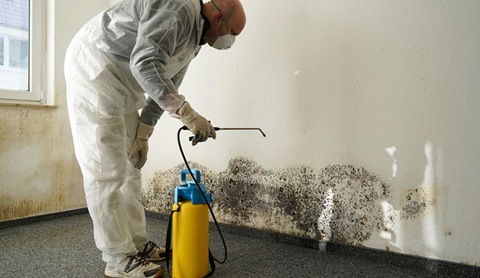 A person is cleaning moldy wall