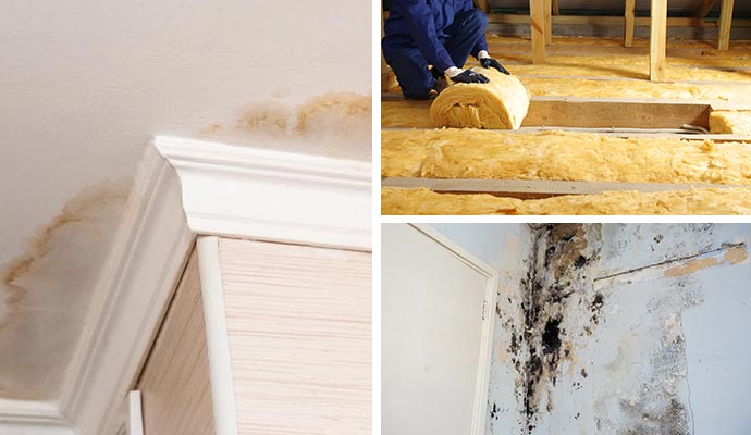 Collage of ceiling stains and wall mold