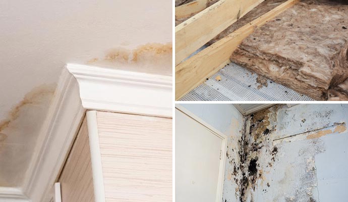 Collage of water damaged ceiling, wet insulation and mold damaged wall