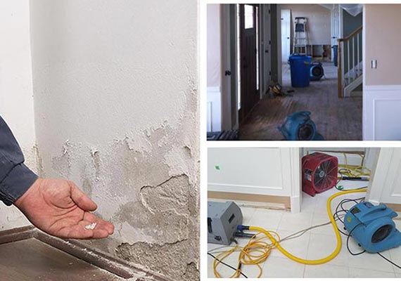 Professional worker inspecting damage. Water extraction machine