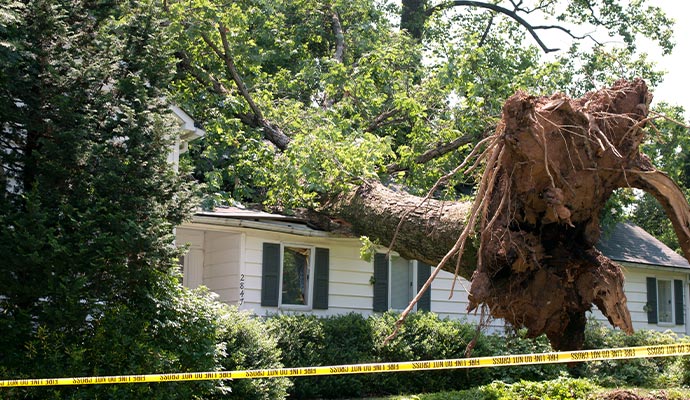 Wind damaged house roof