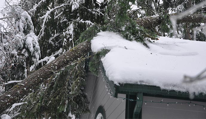 Winter storm damaged property