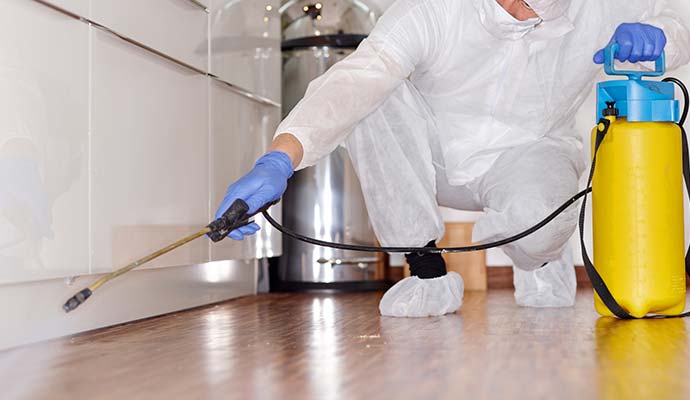 Disinfecting service