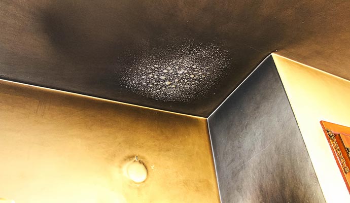 Smoke damaged ceiling