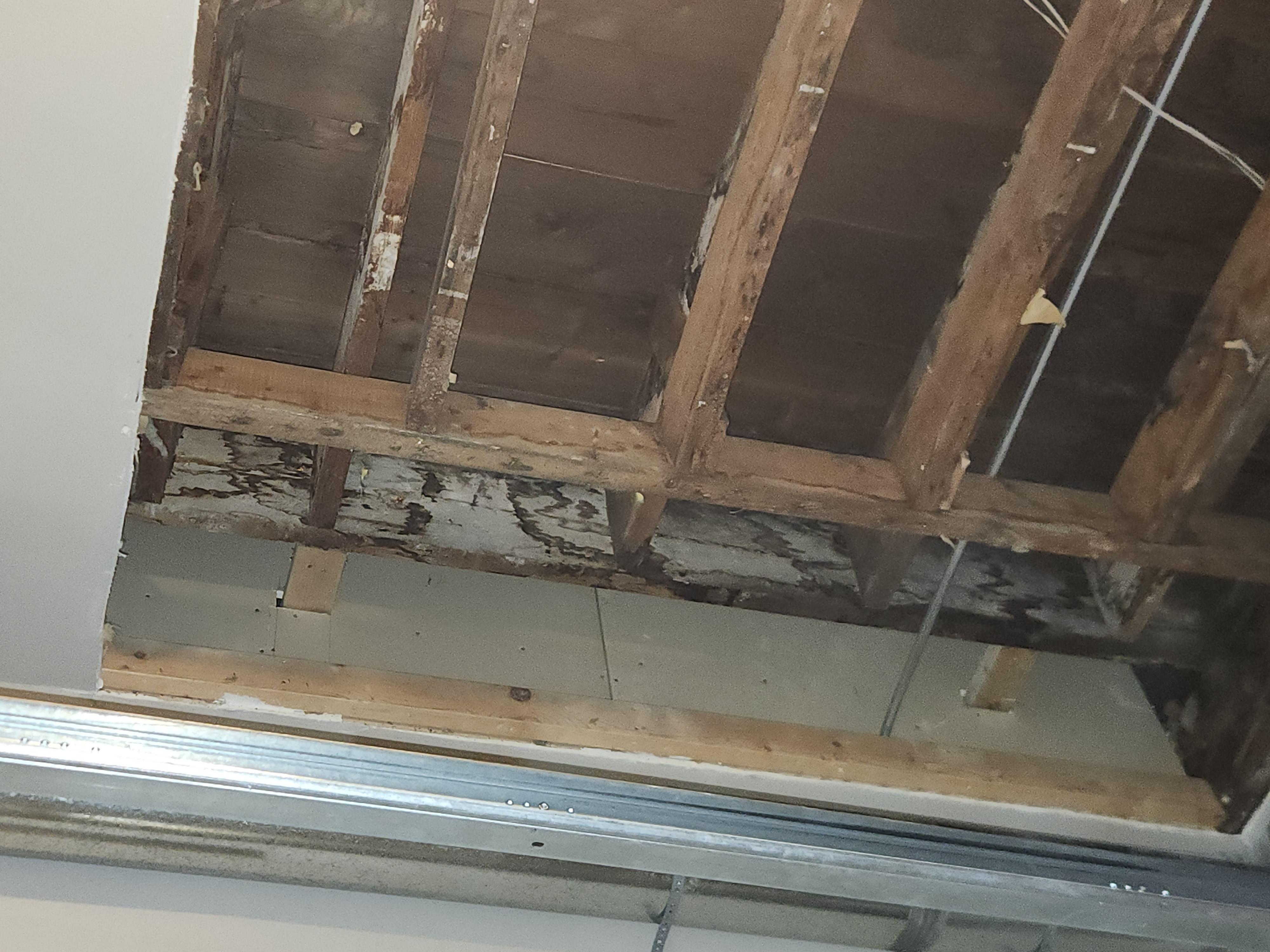 Detailed view of exposed wooden ceiling joists showing significant water staining and potential mold, highlighting the extent of water damage in a residential or commercial property.