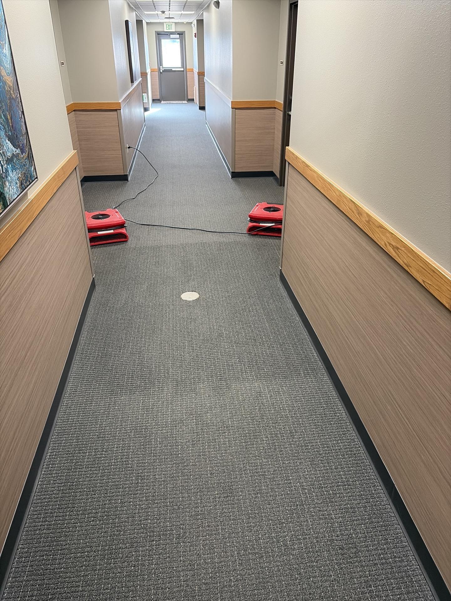 Department of Military Affairs