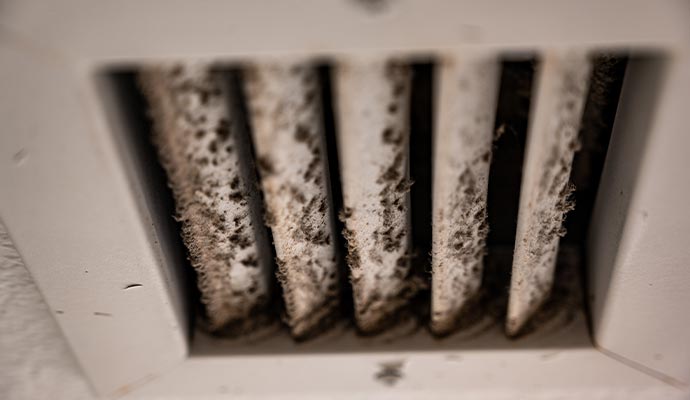 HVAC mold damage