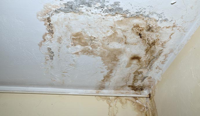 Mold damaged ceiling