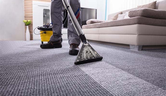 Professional carpet steam cleaning service