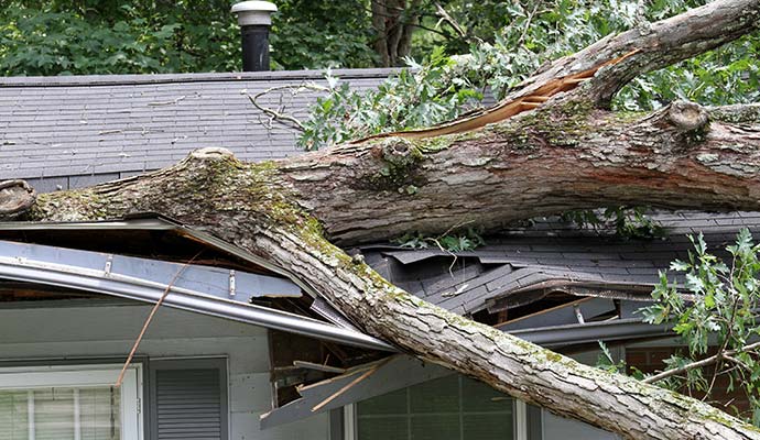 Storm damaged roof