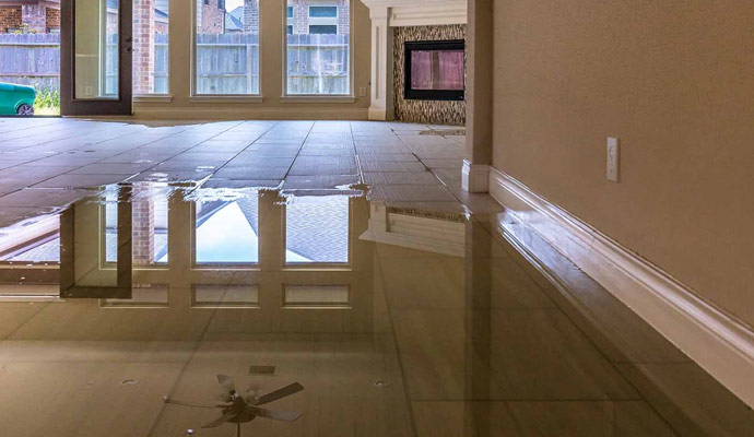 the effects of water damage