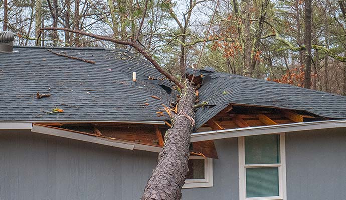 Roof Damage Restoration in Montana by Dayspring Restoration