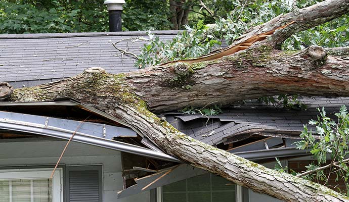 Wind Damage Restoration in Montana  by Dayspring Restoration