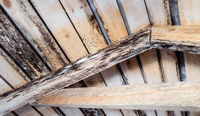 Attic moisture and mold growth