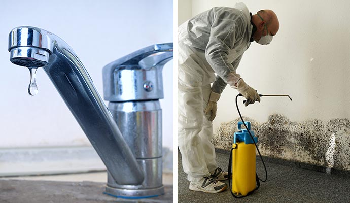 Collage of leaky faucet and mold decontamination