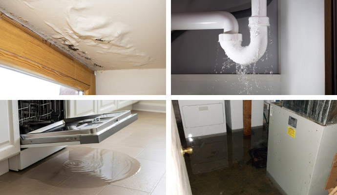 Collage of roof leaks, plumbing leaks, appliance leaks, and basement water damage
