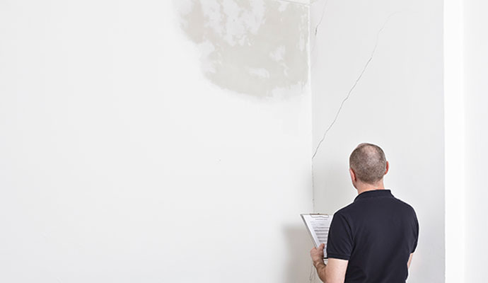 Expert inspecting water damaged wall