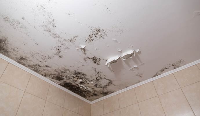 Mold damaged ceiling of a residential house