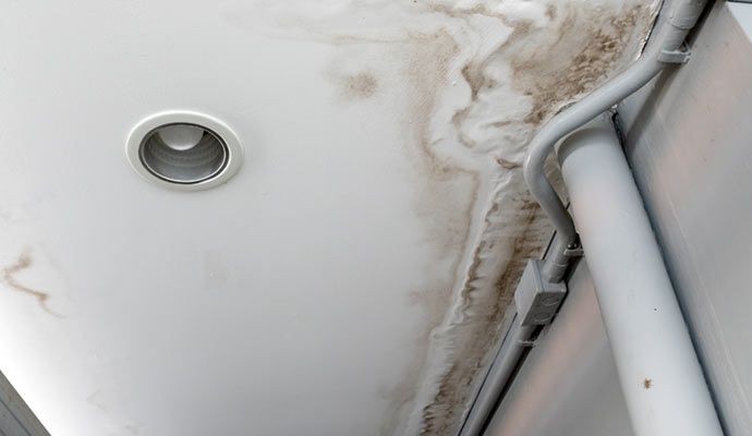 Mold growth from water leak