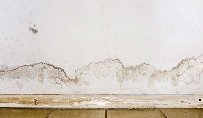 Structural water damage on wall