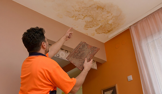 Technician inspecting a water stain on a ceiling