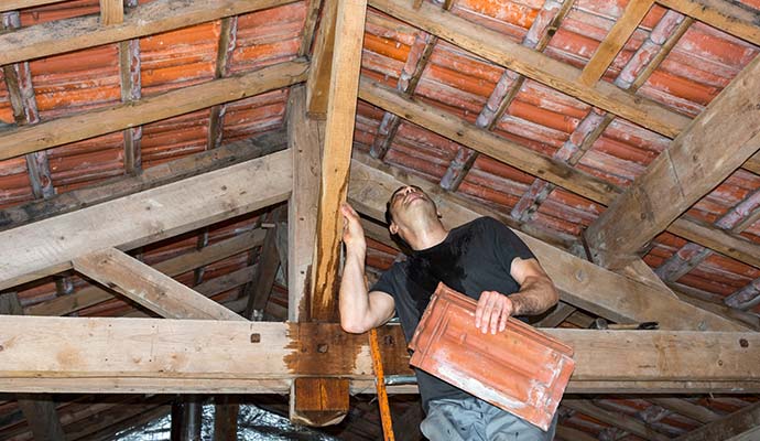 Attic Water Damage Restoration in Missoula and Bozeman