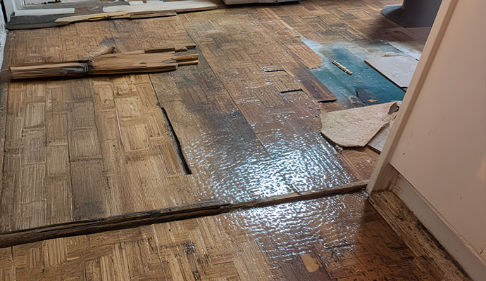 Water damaged wooden floor