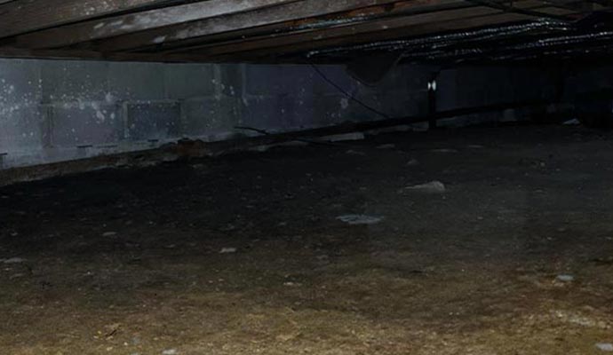 Water damaged crawl space