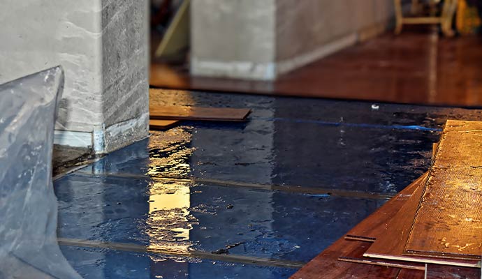 Floor Water Damage Cleanup for Montana Homes and Businesses