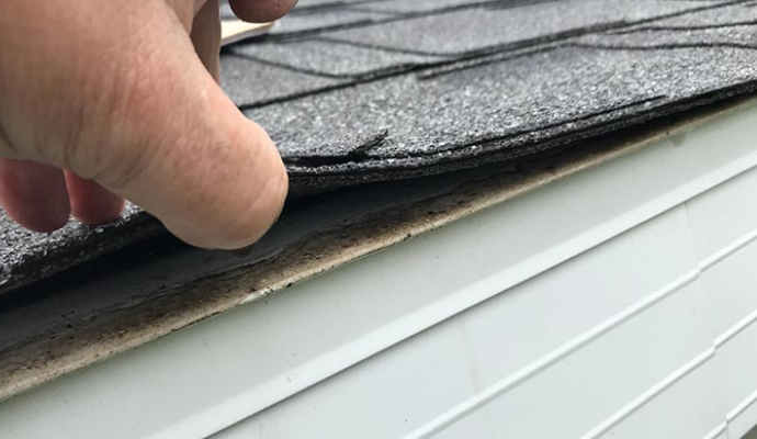 Professional worker checking water damaged roof